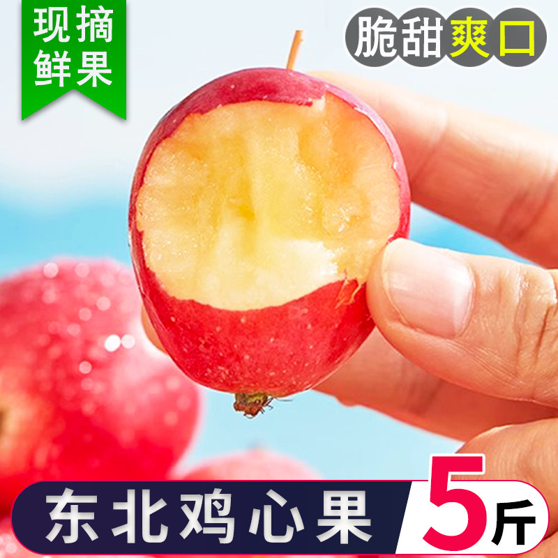 东北鸡心果5斤新鲜孕妇水果