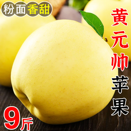 正宗黄元帅苹果9斤新鲜水果应当季粉面黄金帅烟台黄香蕉平果整箱