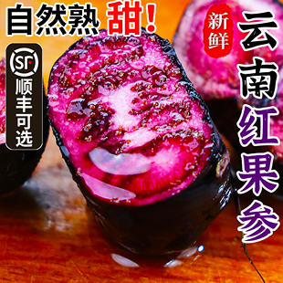 云南高原特色红果参马关红果参新鲜小红果新奇果算盘果果原产地