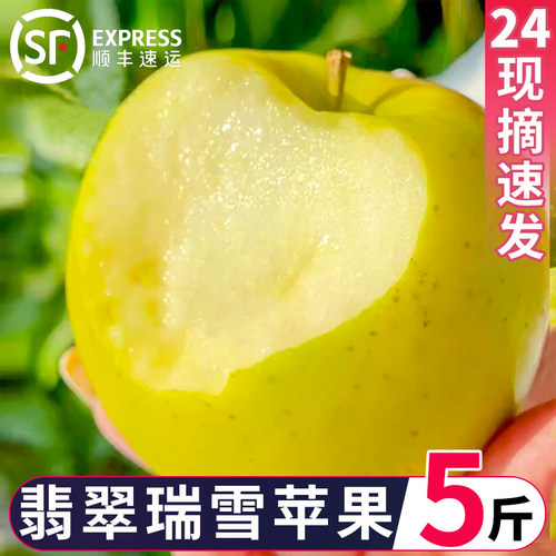 正宗瑞雪苹果纯甜花香味应季水果