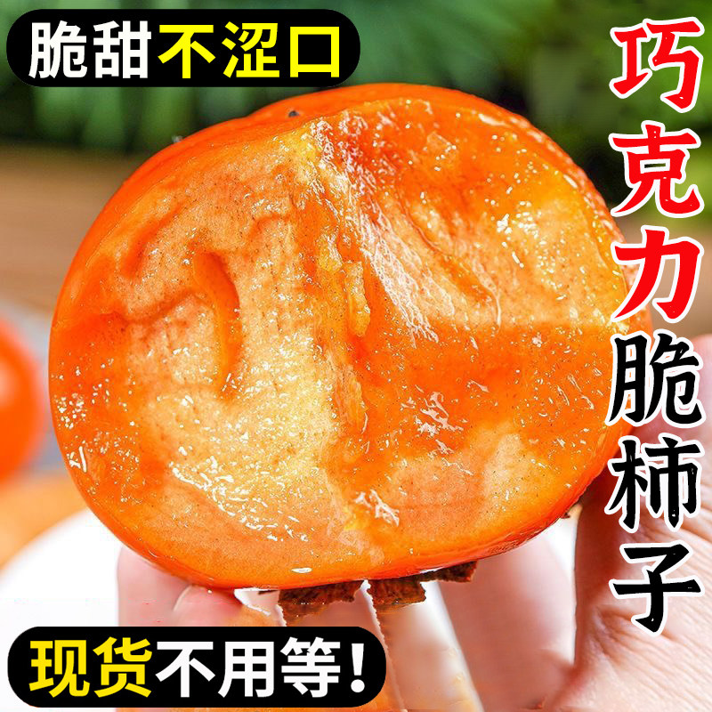 阳丰脆柿子巧克力现摘孕妇水果