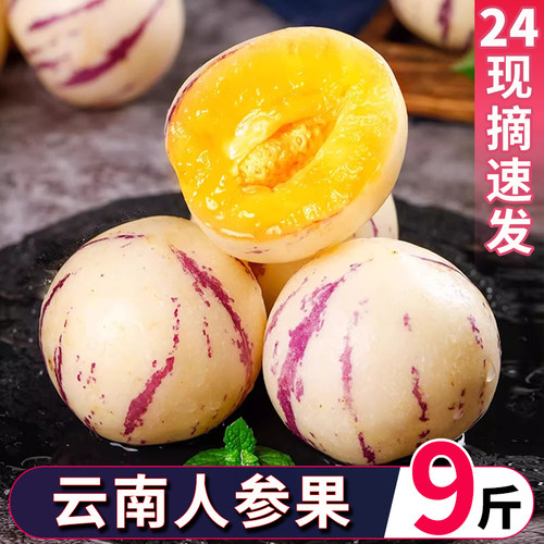 云南石林人参果新鲜人生果9斤