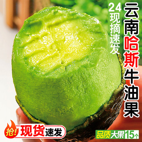 新鲜水果哈斯牛油果云南牛油果