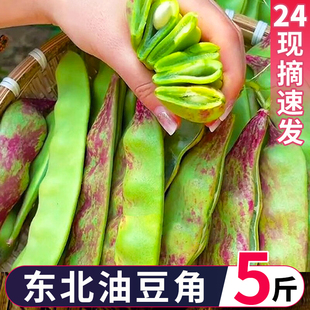 包邮 东北油豆角现摘新鲜5斤蔬菜黑龙江一点红油豆角整箱东北特产