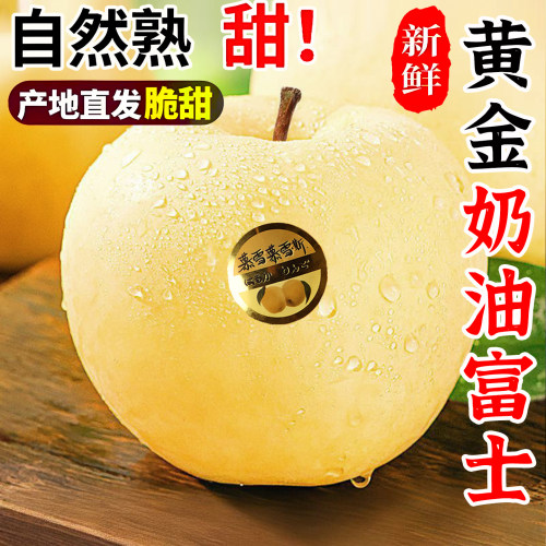 黄金烟台奶油富士苹果
