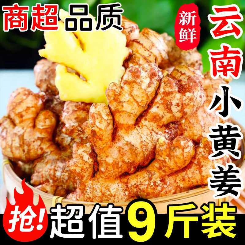 云南小黄姜现挖现发新鲜生姜图片