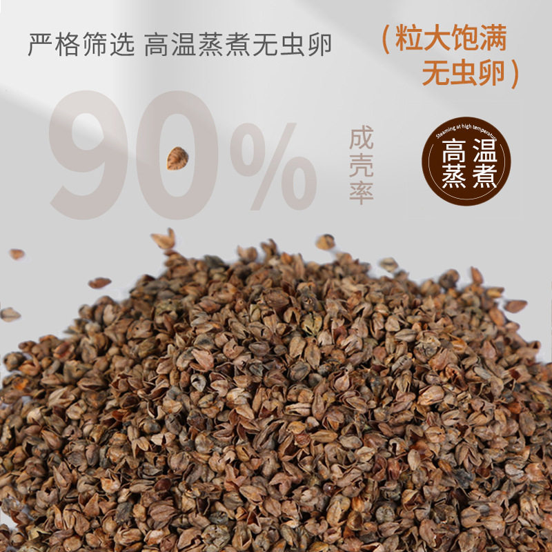 三角枕头全棉荞麦壳菱形