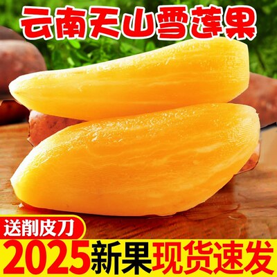 云南天山雪莲果应季水果甜脆多汁新鲜现挖3斤5斤9斤黄心雪果