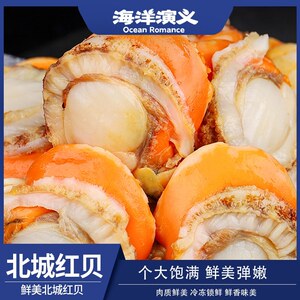 海洋演义 20/40扇贝肉 大个无沙 味道鲜美足斤足量 200g/包*10包