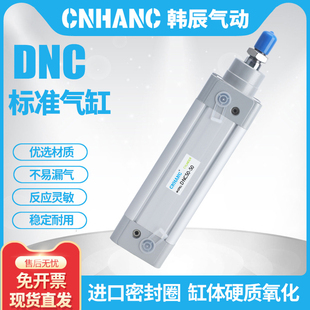 125 100 PPV 标准气缸DNC32