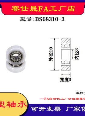 【赛仕晟】供应包塑轴承BS68310-3高品质尼龙滑轮 高耐磨滚轮
