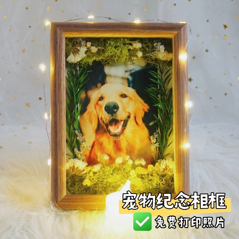 宠物相框离世猫咪定制狗狗照片纪念品毛发收藏保存长明灯留念