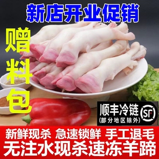 新鲜羊蹄子带筋羊脚速冻生羊爪生鲜羊杂羊头羊排羊副美食商用