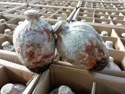 贵州酱香型53度纯粮食白酒陈年洞藏老酒收藏封坛酒整箱6坛装特价