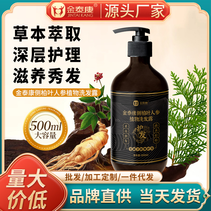 金泰康洗发水国货老牌洗发露洗头膏控油蓬松侧柏叶洗发露