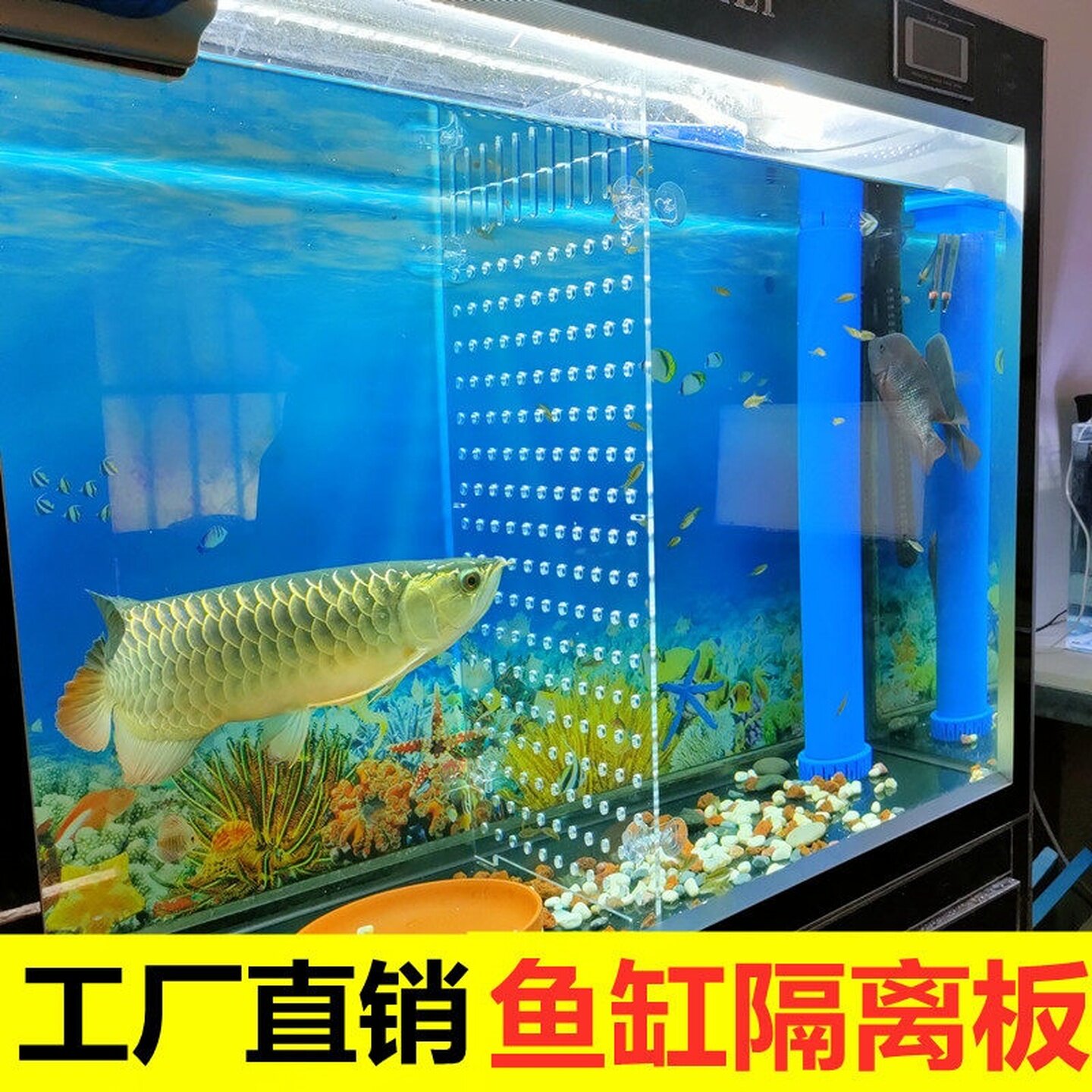 鱼缸隔断隔离板网板隔离神器透明可裁剪盖板分隔板繁殖网挡板盖子