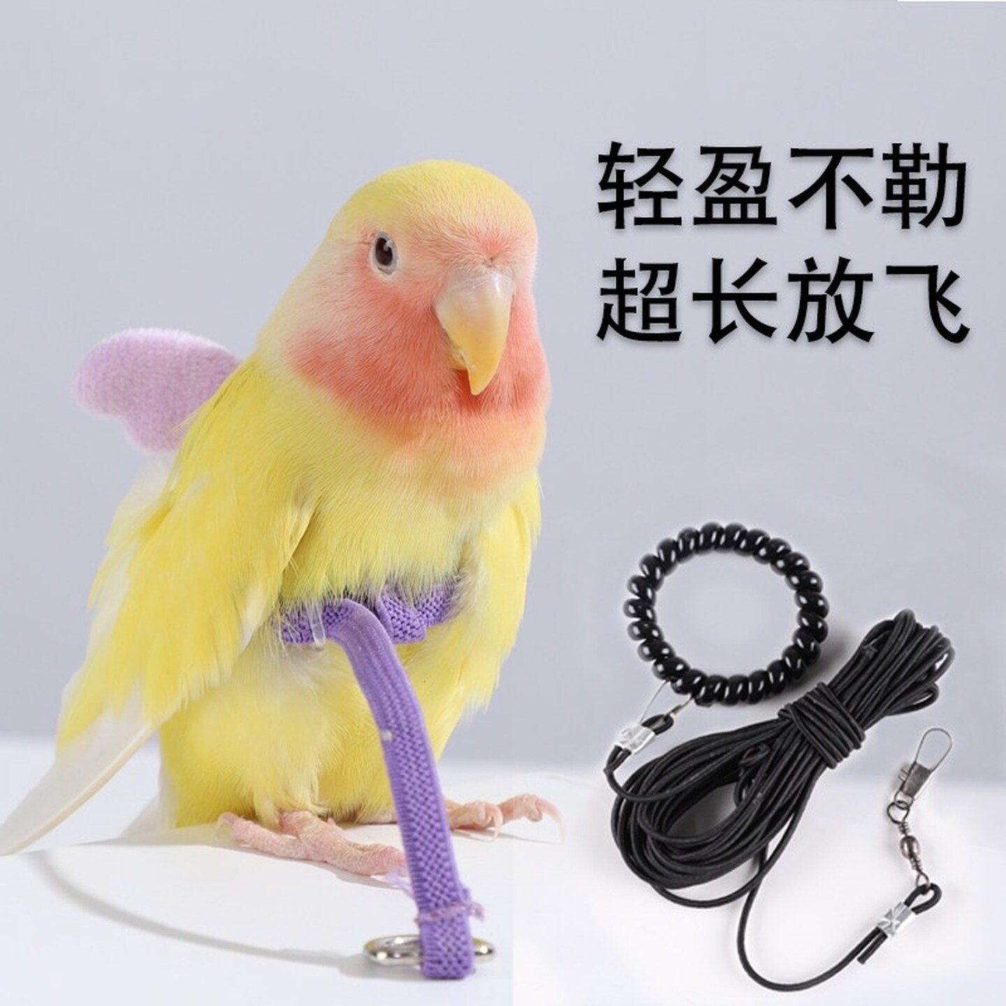 超轻鹦鹉放飞绳牵引绳外出训练绳脚链虎皮牡丹玄凤活扣弹力绳脚环