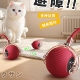 狗狗自动遛狗球猫咪玩具耐咬自嗨解闷神器电动逗猫益智突突球用品