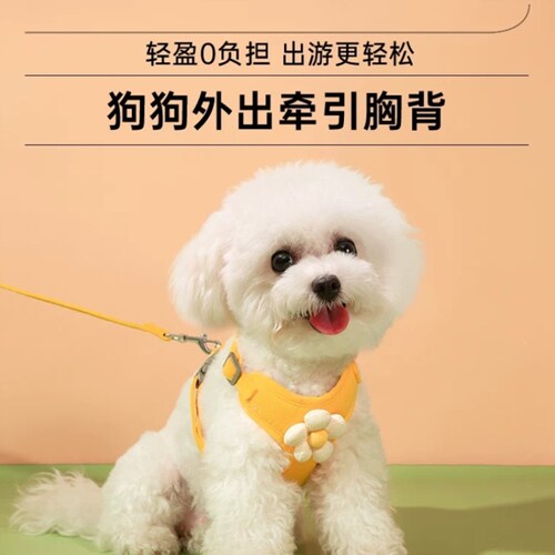 背心式狗狗牵引绳遛狗胸背带小型犬背带拴狗绳幼犬柯基宠物狗链子