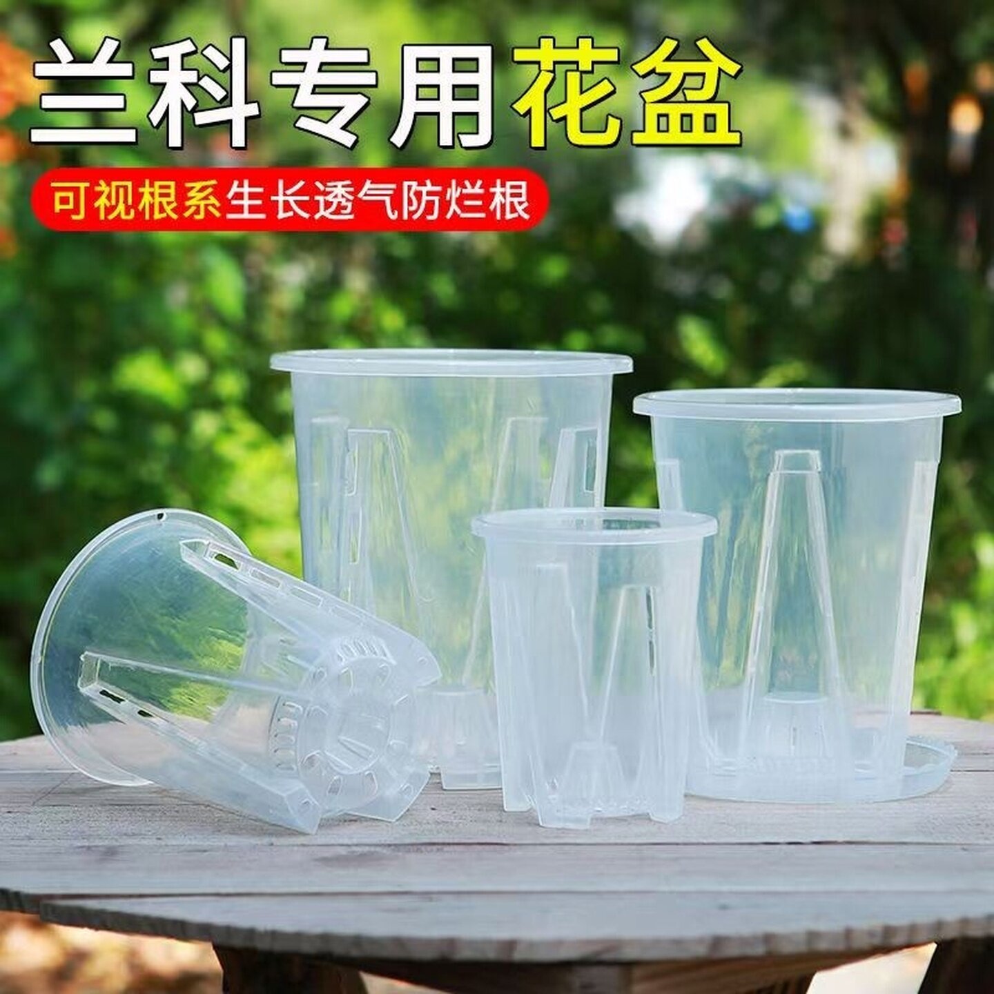透明青山控根盆兰花水苔蝴蝶兰多肉专用透气花盆镂空加厚塑料家用