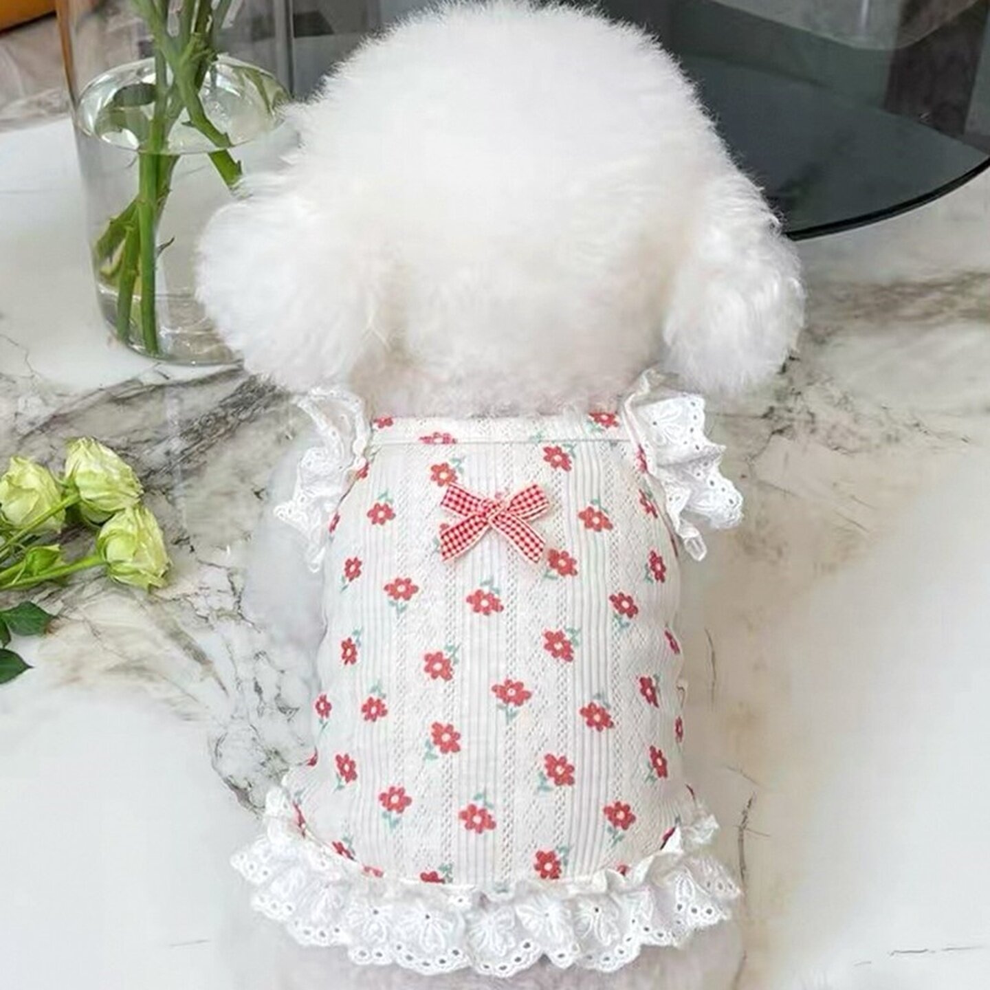 猫咪衣服夏防掉毛薄款透气吊带布偶宠物狗狗柔软背心款蓬蓬裙蕾丝