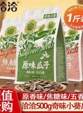 洽洽奇味小葵500g香酥葵瓜子零食