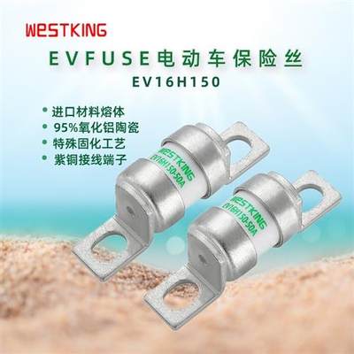 新能源电动汽车专用保险丝/熔断器EV16H150-20A25A32A35A50A180A