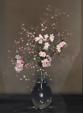 【母亲节礼物】日式透明