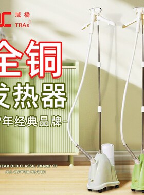 域桥挂烫机铜芯F1-X6小型家用蒸