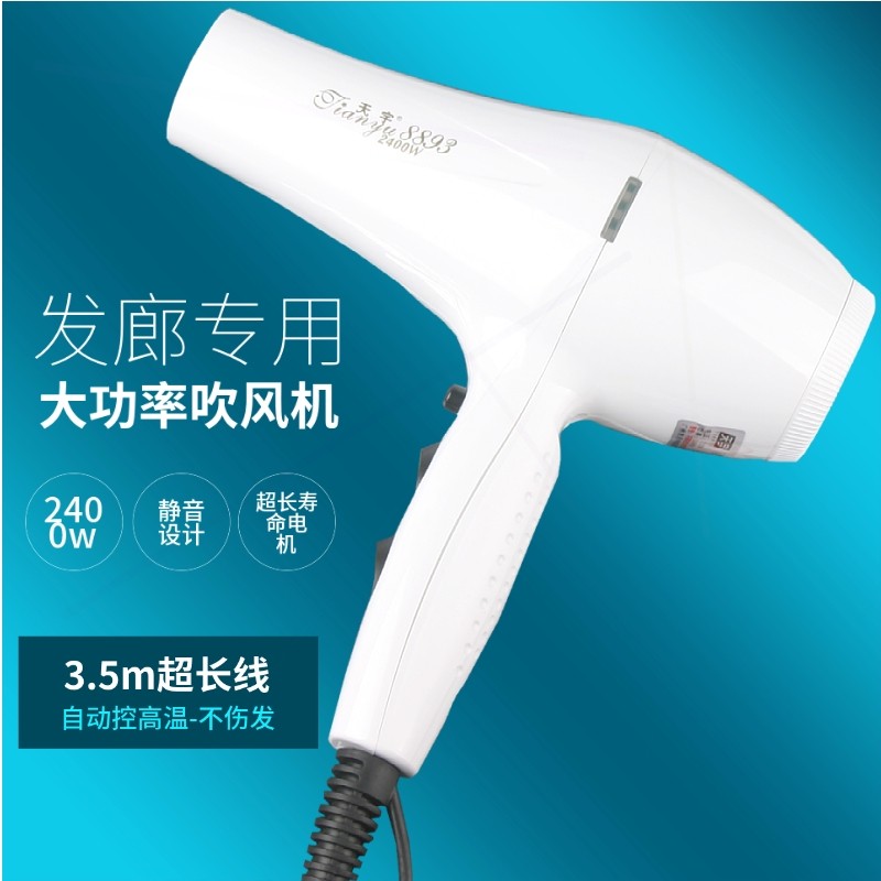 天宇专业理发店吹风机大功率电吹级发廊专用吹风筒风2400w沙龙