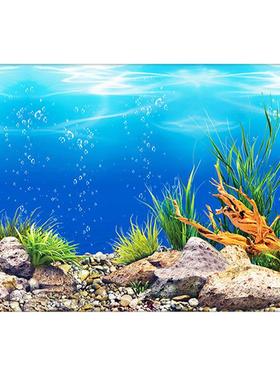 Background for aquarium decoration fish tank Plants for aqua