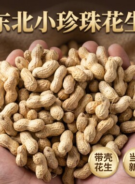当季带壳辽宁小珍珠花生炒熟原味花生新鲜采摘自然晒干带皮生花生