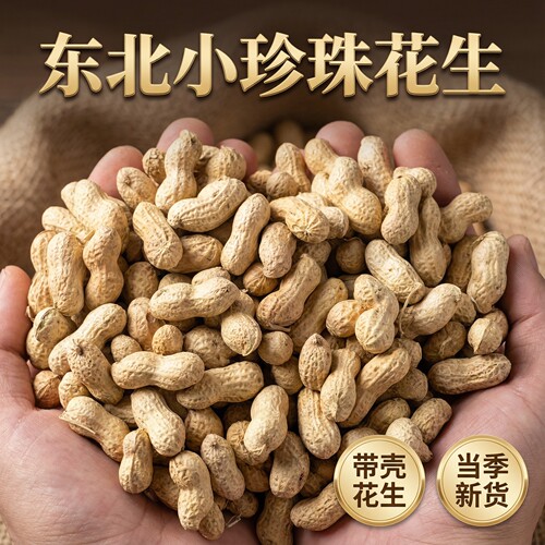 当季带壳辽宁小珍珠花生炒熟原味花生新鲜采摘自然晒干带皮生花生