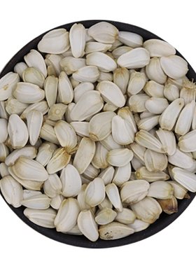 中药材红花种子云南无刺红花籽种食用泡脚四季益母草盆栽学生观察