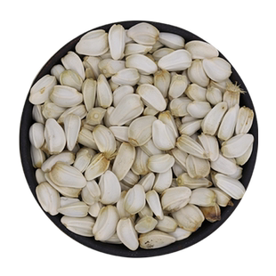 中药材红花种子云南无刺红花籽种大花高产食用泡脚四季益母草盆栽