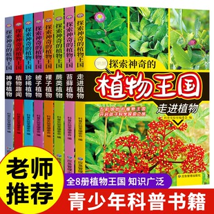 正版 儿童 探索神奇 少年儿童科普大全彩图版 共8册 12岁植物书籍植物家族 小学生课外书阅读书籍三年级 植物王国