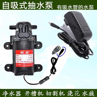 12v自吸泵隔膜高压洗车增压专用220V抽小水 德国进口直流微型水泵