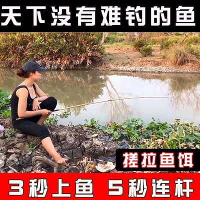 大板鲫鱼饵料野钓鲫鱼饵黑坑野钓腥香鱼饵无需拉丝粉单开鱼饵钓鱼