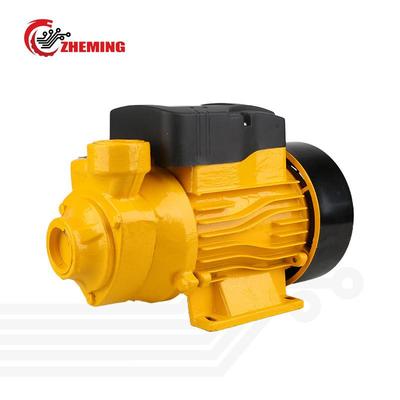 直流漩涡泵DC12VDC24V高扬程大流量直流太阳能陆地泵SOLARPUMP