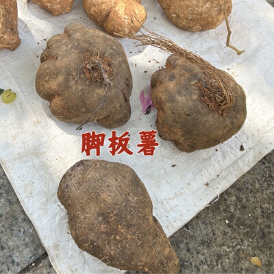 农家赶集代购湖南土脚板薯煲汤