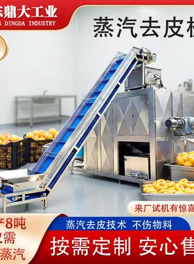 商用红薯蒸汽去皮机厂家现货红薯干薯条加工自动化脱皮设备