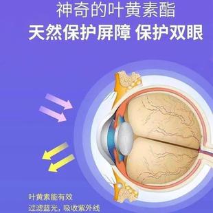 益生菌蓝叶黄酯夜片成人儿童PGO青素少莓年熬模糊干涩疲劳养眼护