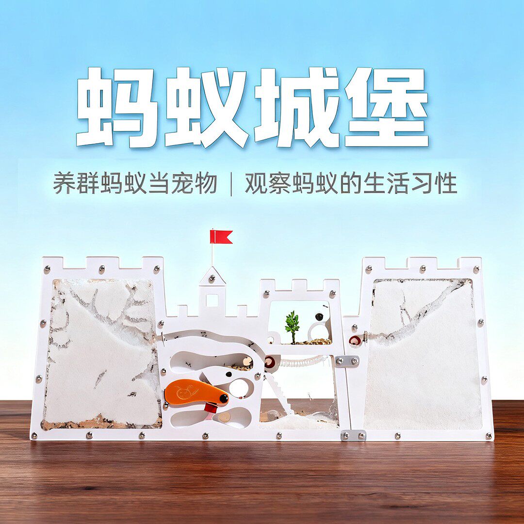 儿童蚂蚁工坊生物观察蚁巢