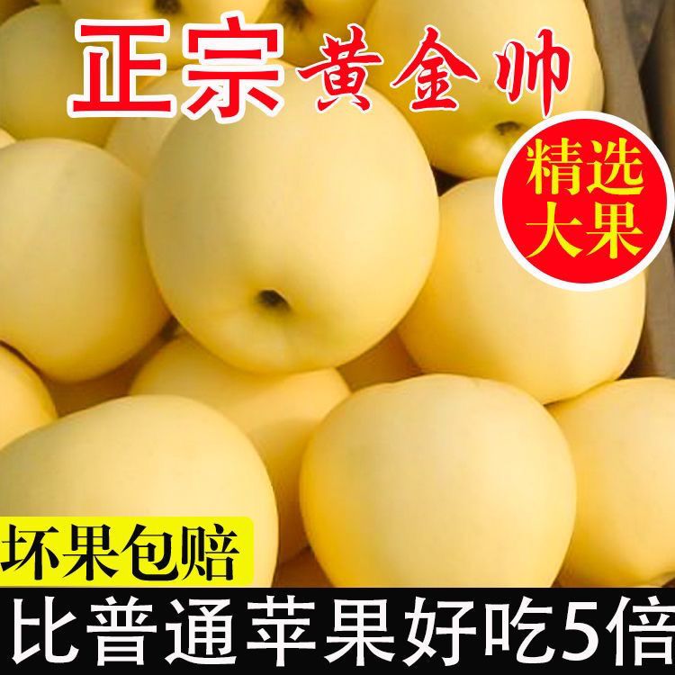 甘肃天水黄元帅苹果黄香蕉苹果粉糯香甜宝宝老人吃现摘水果10斤