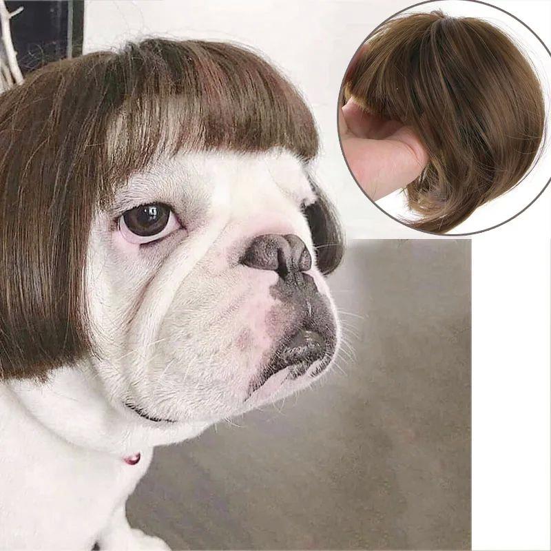 Pet Wigs Cosplay Props Dog Cat Cross-Dressing Hair Set Photo