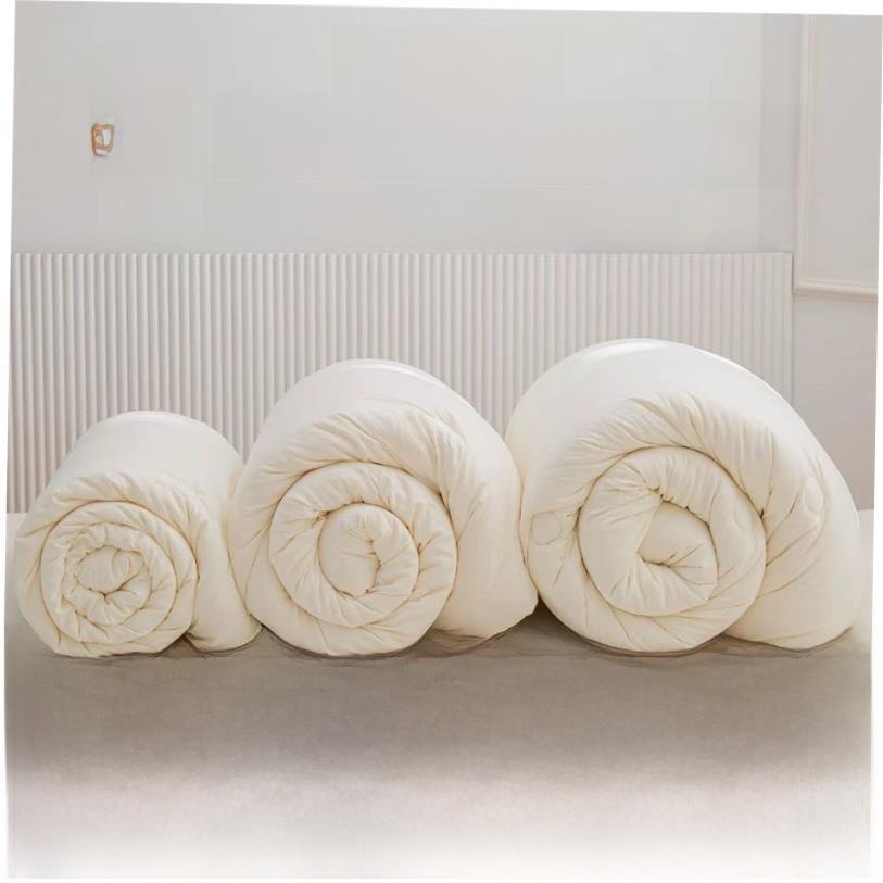 Sofe Comforter Duvet Blanket Air Condition Quilt Summer 夏被