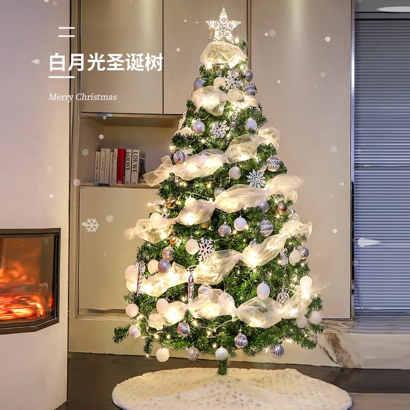 Christmas Tree Package Encrypted DIY Luminous Large圣诞树