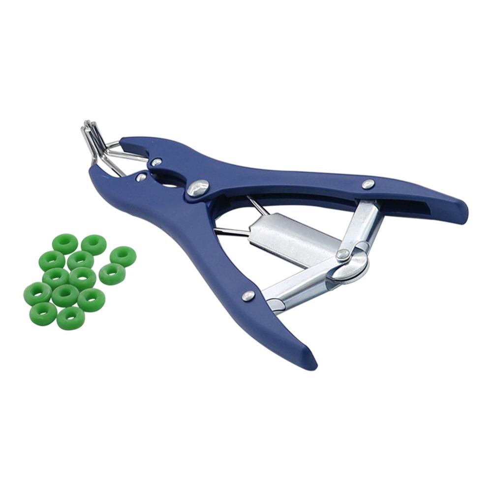 1 Pc Broken Tail Castration Forceps With 100 Pcs High Elasti