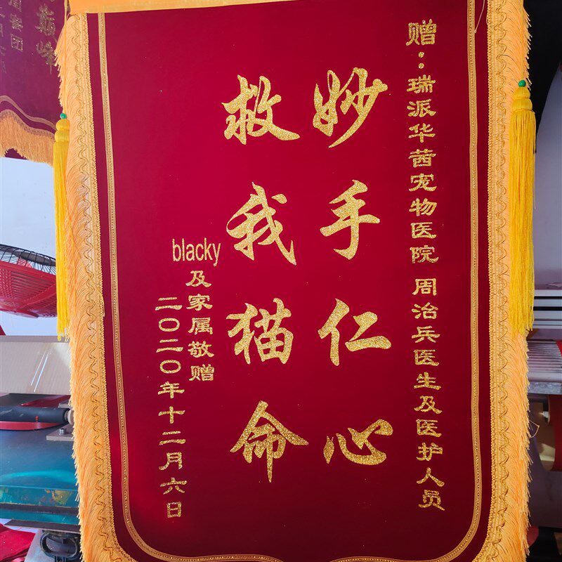定制锦旗订做送宠物医生s医院幼儿园老师免邮驾校教练月嫂物业搞