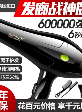 德系电吹风机发廊理发店家用大功